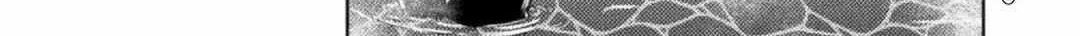 Killer Shark In Another World Chapter 30 page 47 - 