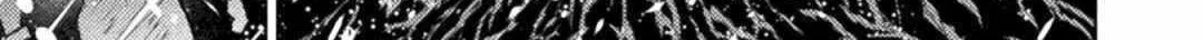 Killer Shark In Another World Chapter 30 page 59 - 
