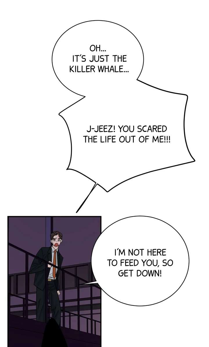 Killer Whale Protocol Chapter 1 page 41 - 