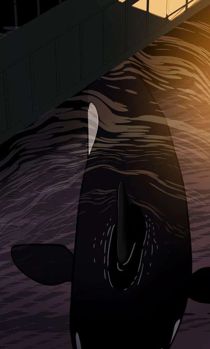 Killer Whale Protocol Chapter 3 page 3 - 