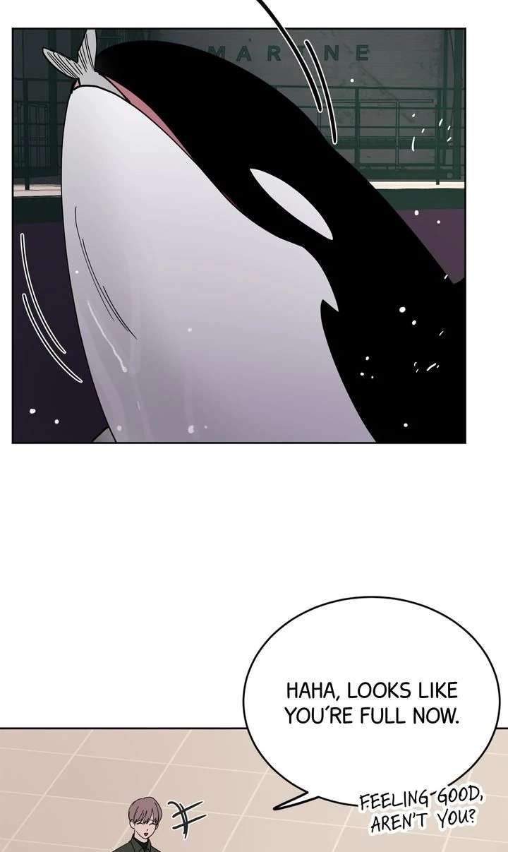 Killer Whale Protocol Chapter 5 page 19 - 