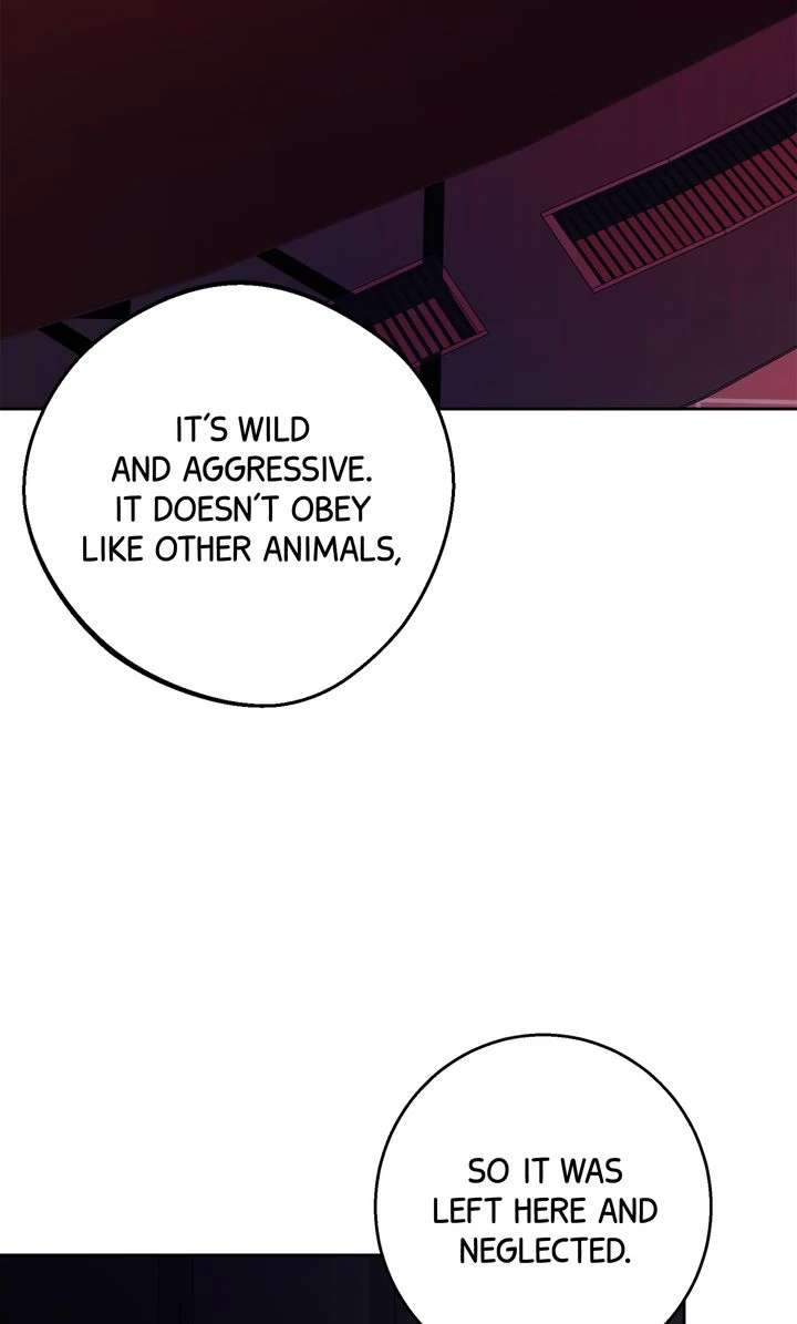 Killer Whale Protocol Chapter 7 page 17 - 