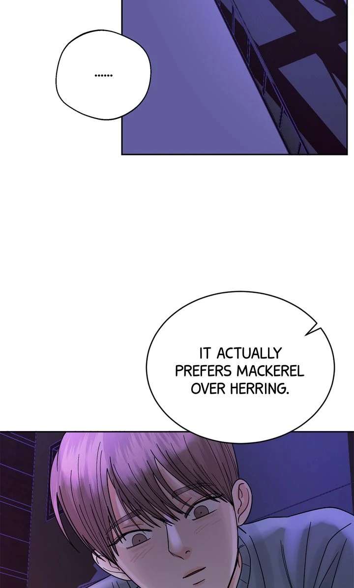 Killer Whale Protocol Chapter 7 page 31 - 