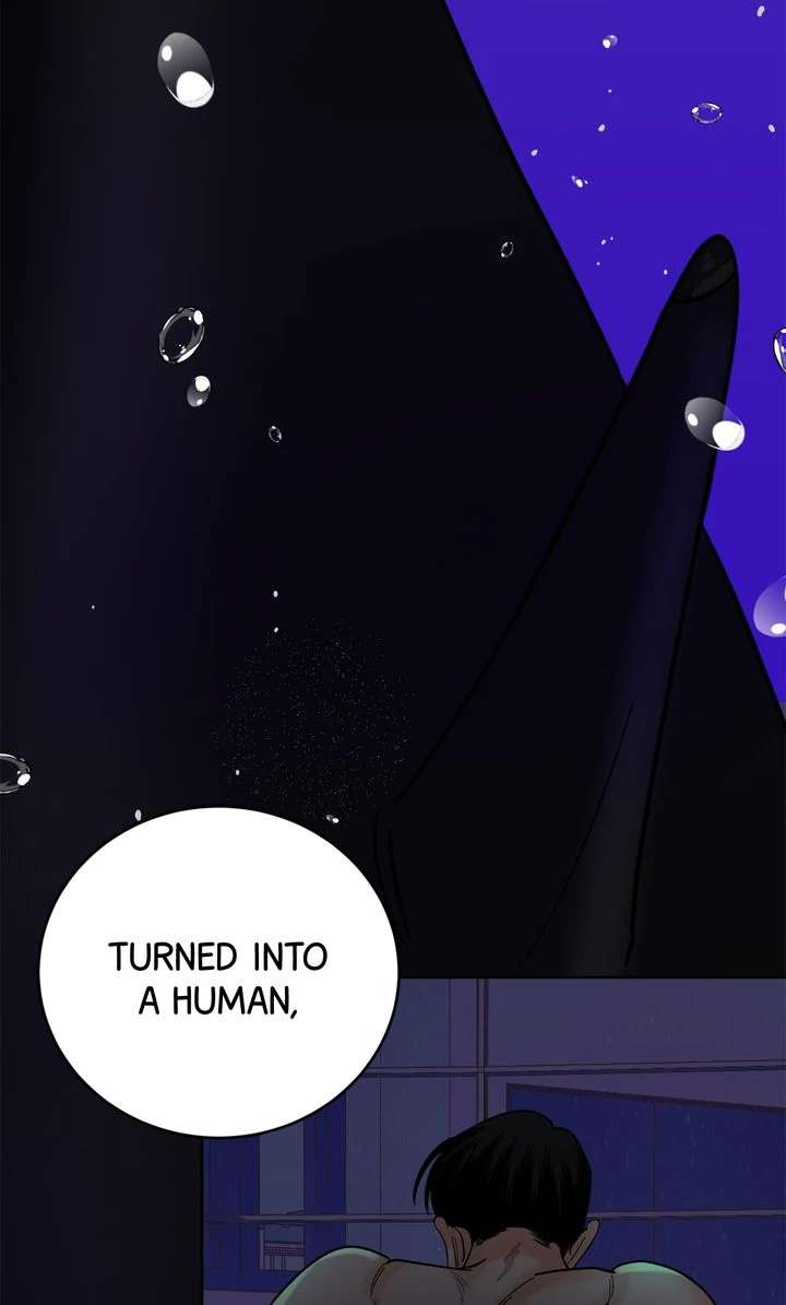 Killer Whale Protocol Chapter 8 page 37 - 