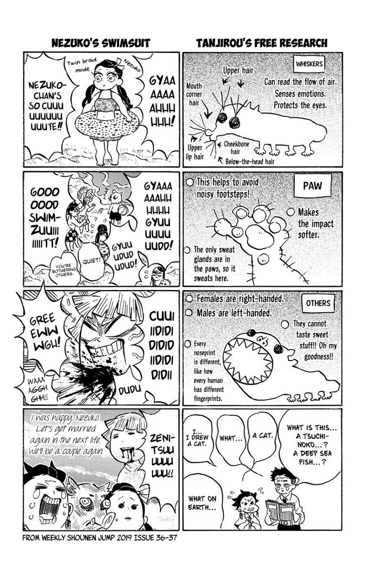 Kimetsu No Yaiba Chapter 178.5 page 13 - 