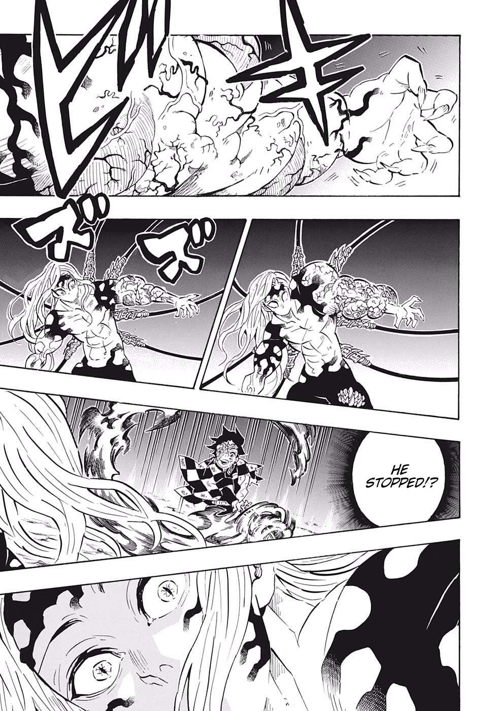 Kimetsu No Yaiba Chapter 196 page 17 - 