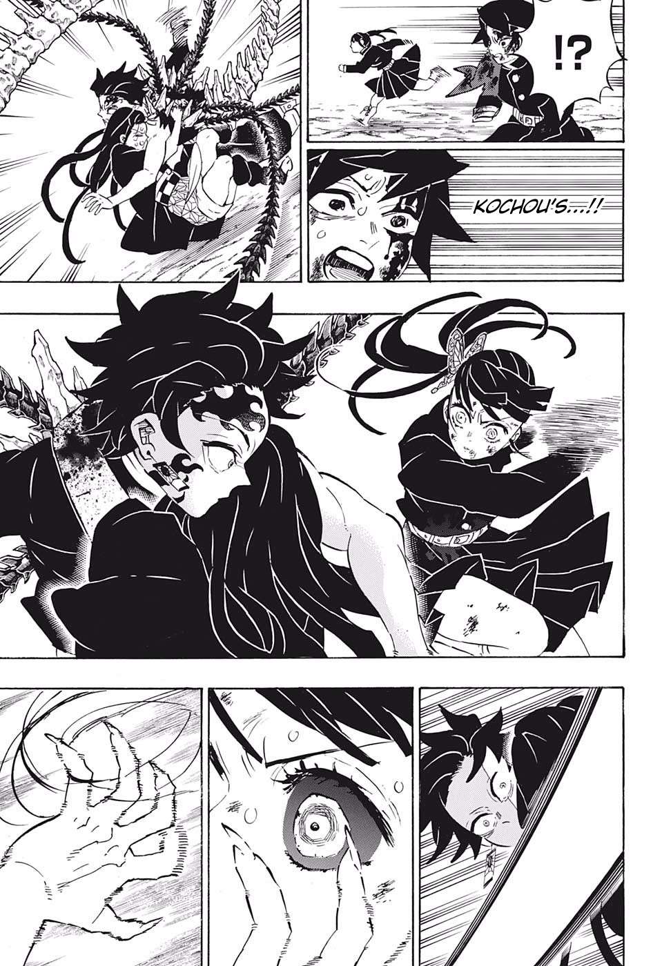 Kimetsu No Yaiba Chapter 202 page 17 - 