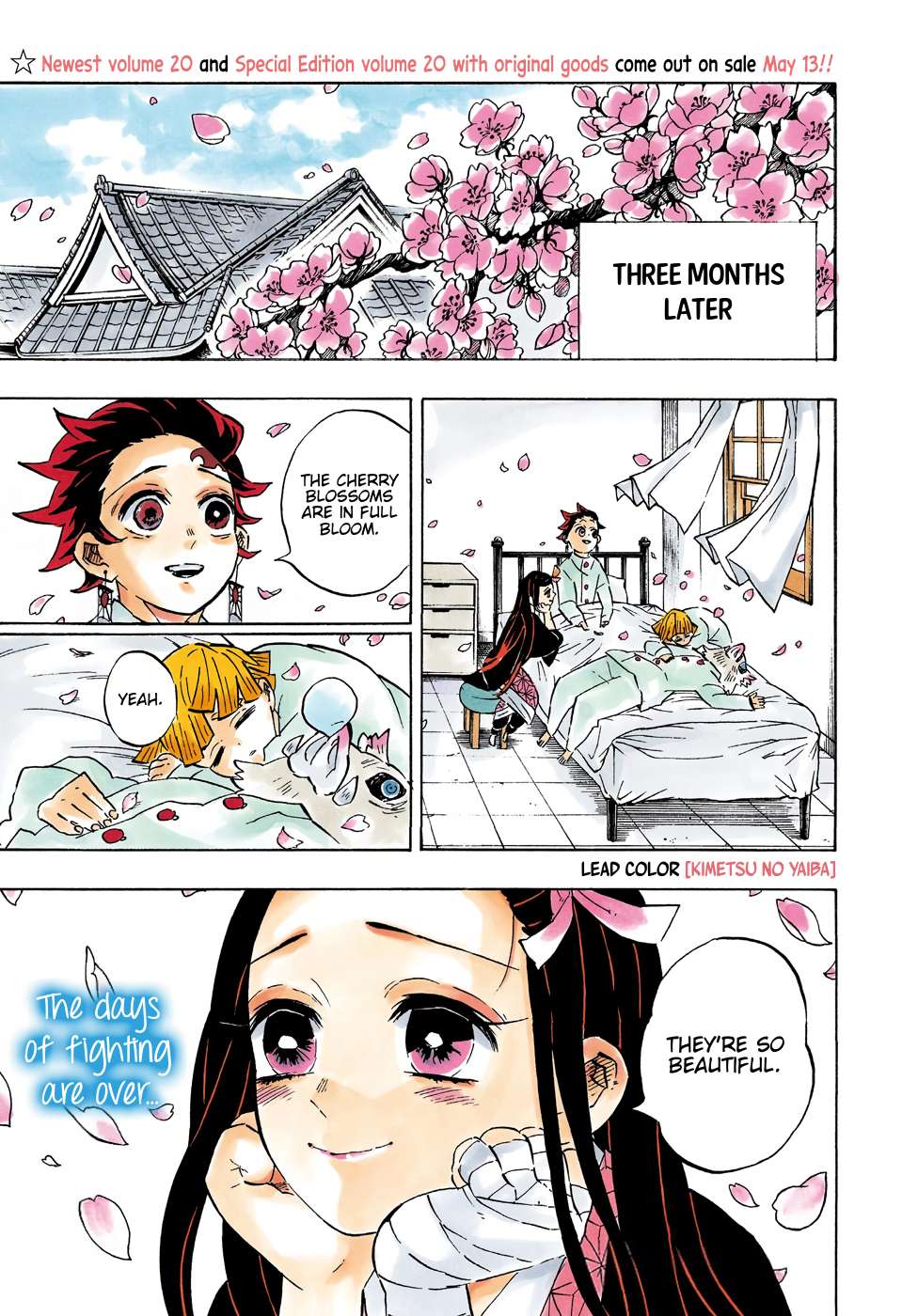 Kimetsu No Yaiba Chapter 204 page 4 - 