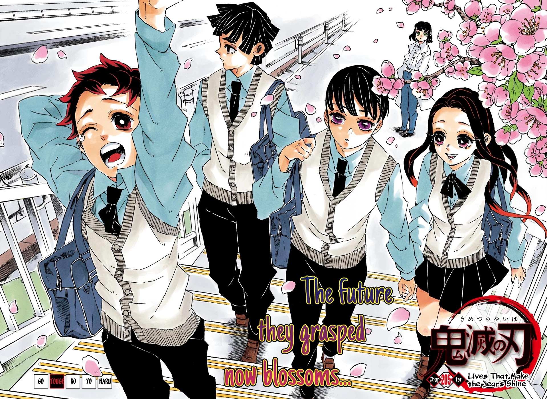 Kimetsu No Yaiba Chapter 205 page 2 - 