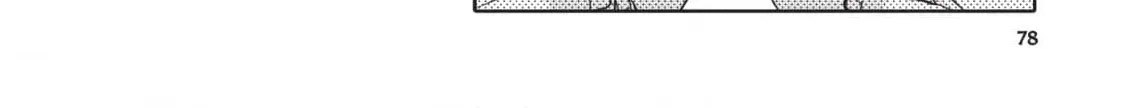 Kimi ga Dokodemo Koi wa Koi Chapter 11 page 48 - 