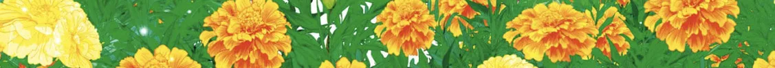 Kimi no Koe Chapter 11 page 2 - 
