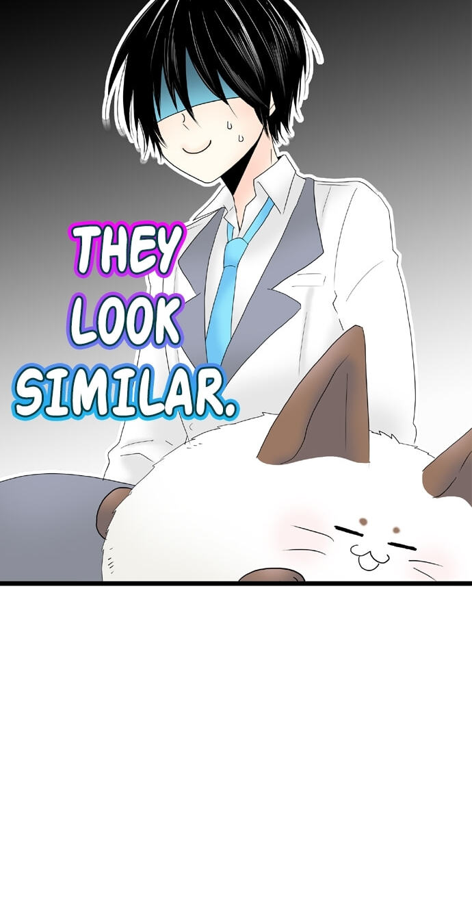 Kimi no Koe Chapter 52 page 43 - 