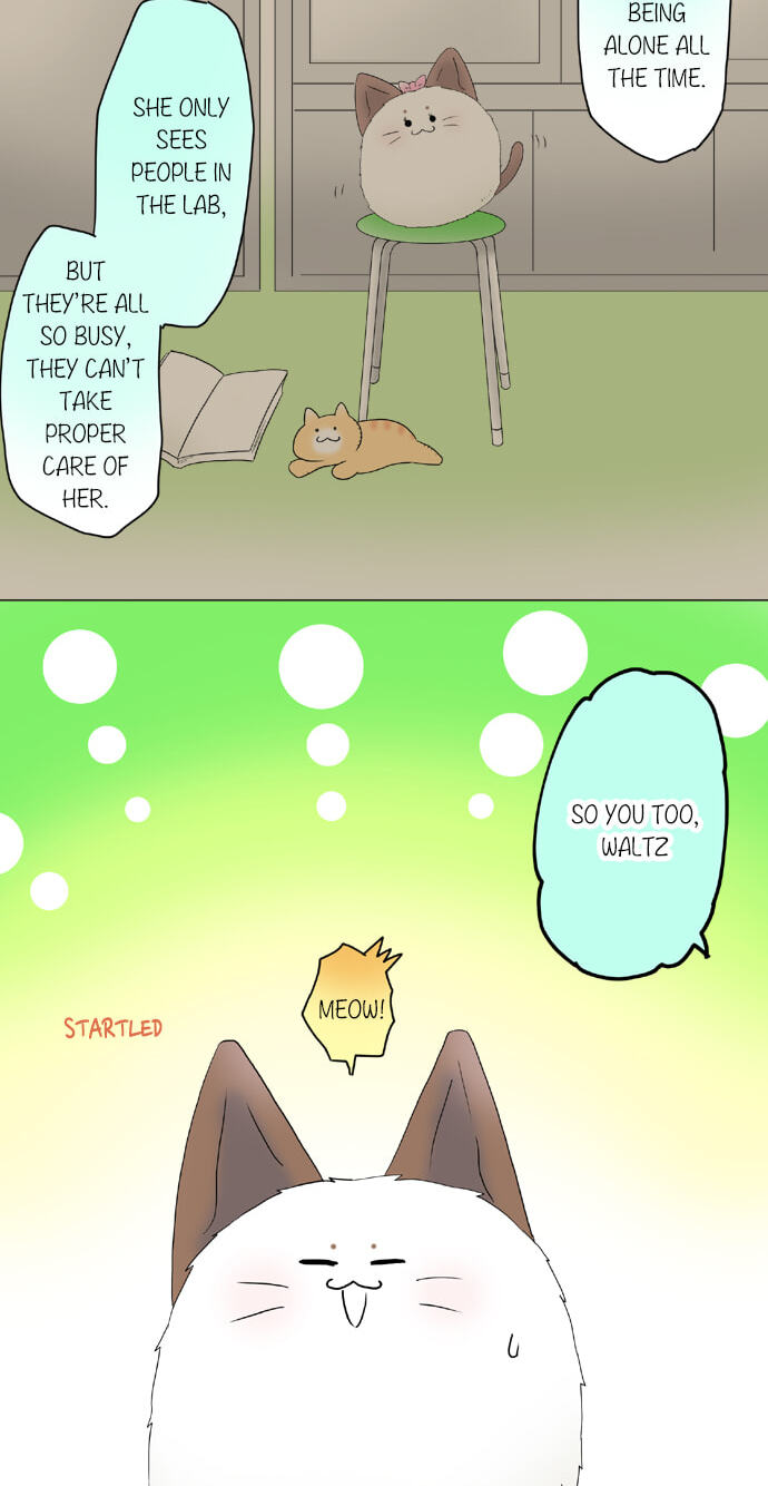 Kimi no Koe Chapter 53 page 32 - 