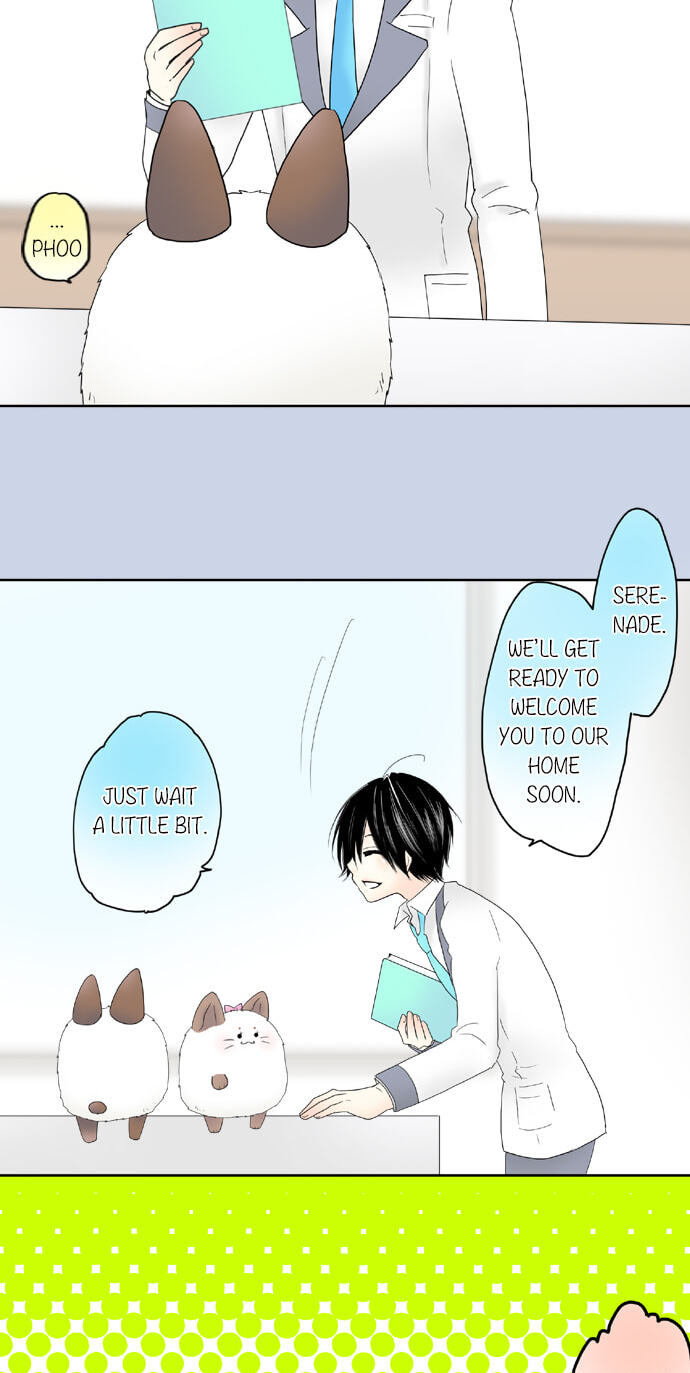 Kimi no Koe Chapter 54 page 27 - 