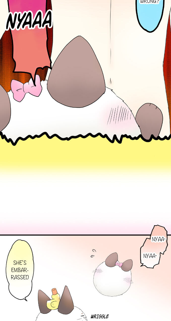 Kimi no Koe Chapter 55 page 36 - 