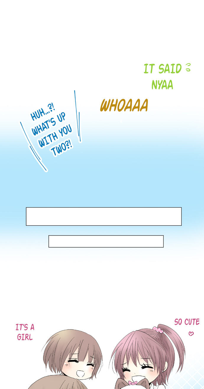 Kimi no Koe Chapter 56 page 15 - 