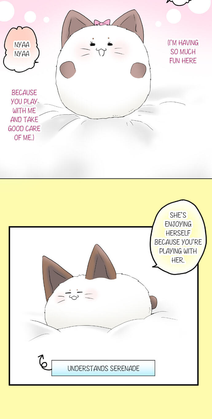 Kimi no Koe Chapter 56 page 3 - 