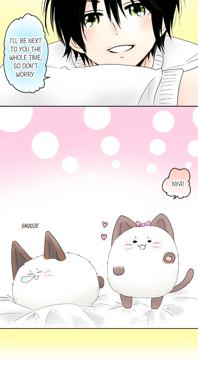 Kimi no Koe Chapter 56 page 5 - 