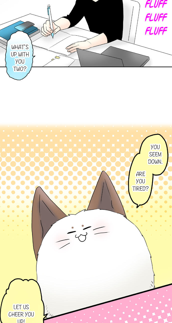 Kimi no Koe Chapter 57 page 21 - 