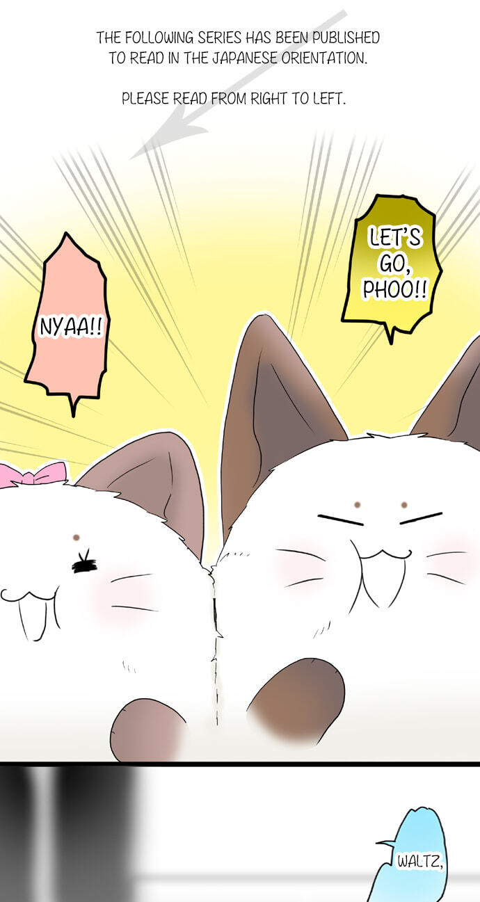 Kimi no Koe Chapter 58 page 1 - 