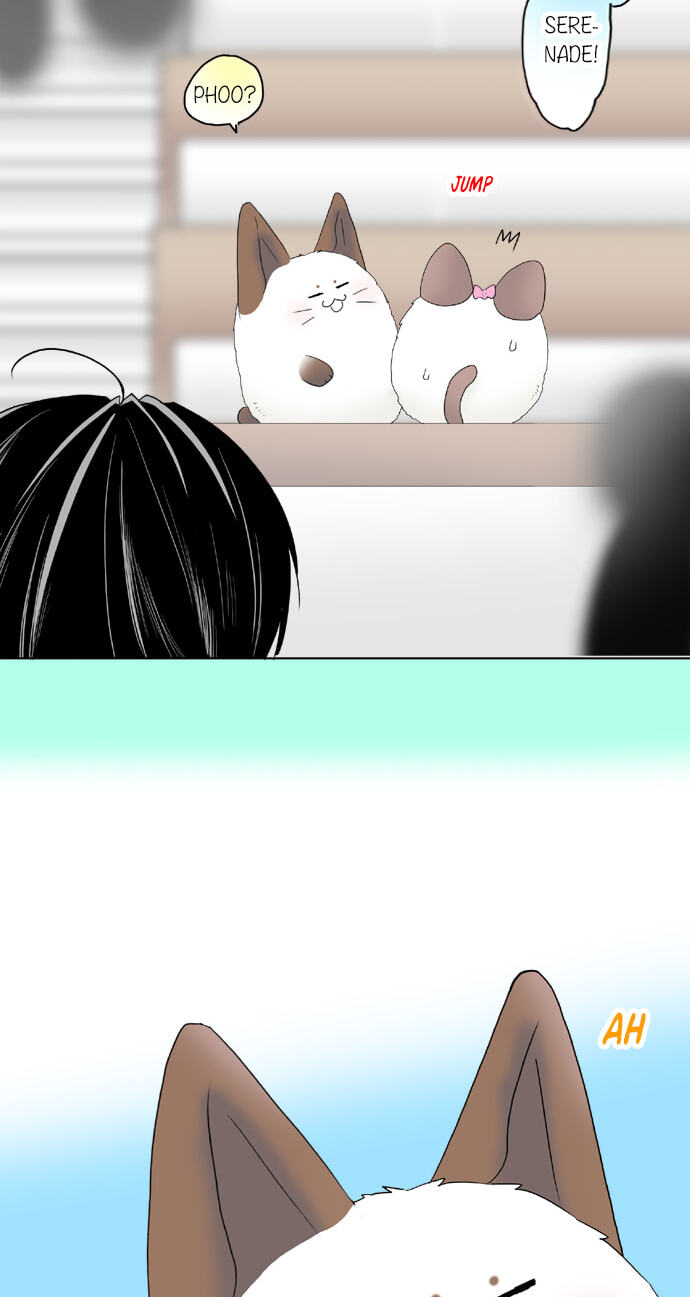 Kimi no Koe Chapter 58 page 2 - 
