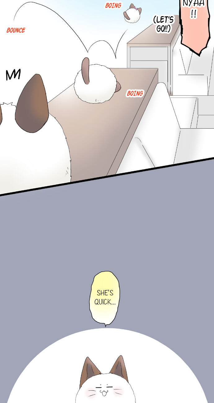 Kimi no Koe Chapter 58 page 10 - 