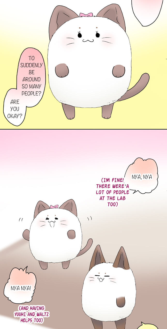 Kimi no Koe Chapter 59 page 6 - 