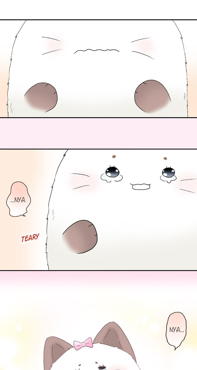 Kimi no Koe Chapter 65 page 21 - 