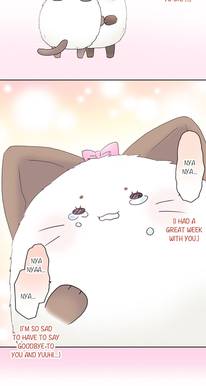 Kimi no Koe Chapter 65 page 24 - 