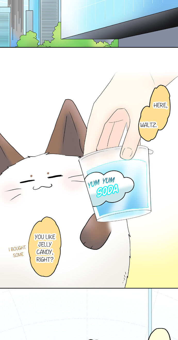 Kimi no Koe Chapter 66 page 26 - 