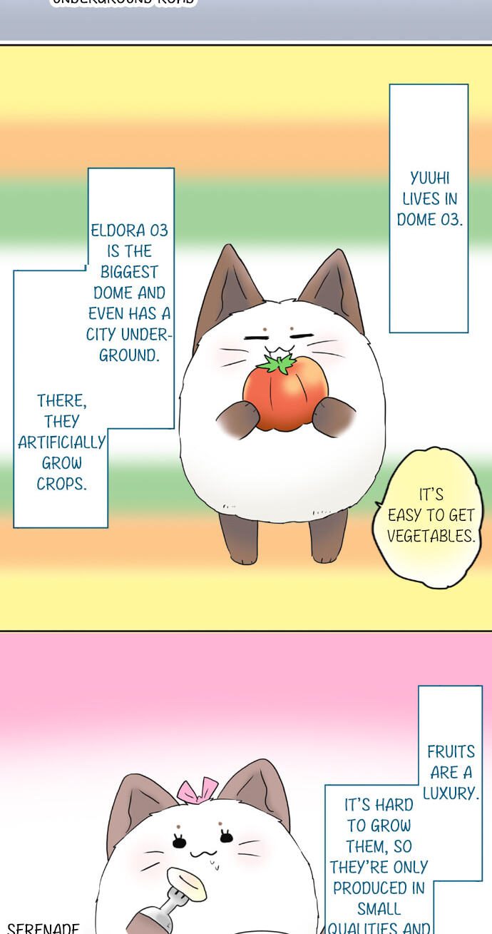 Kimi no Koe Chapter 75 page 7 - 