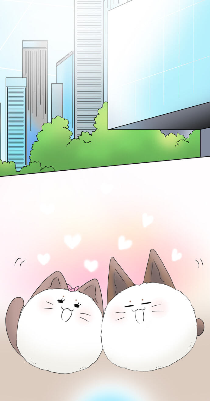 Kimi no Koe Chapter 80 page 9 - 
