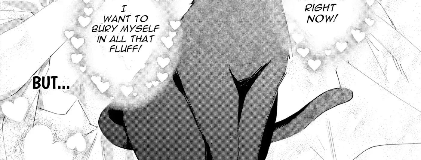 Kimi wo Aisuru Koto wa Dekinai to Iwareta node Neko wo Mederu Koto ni Shimashita Chapter 2 page 45 - 