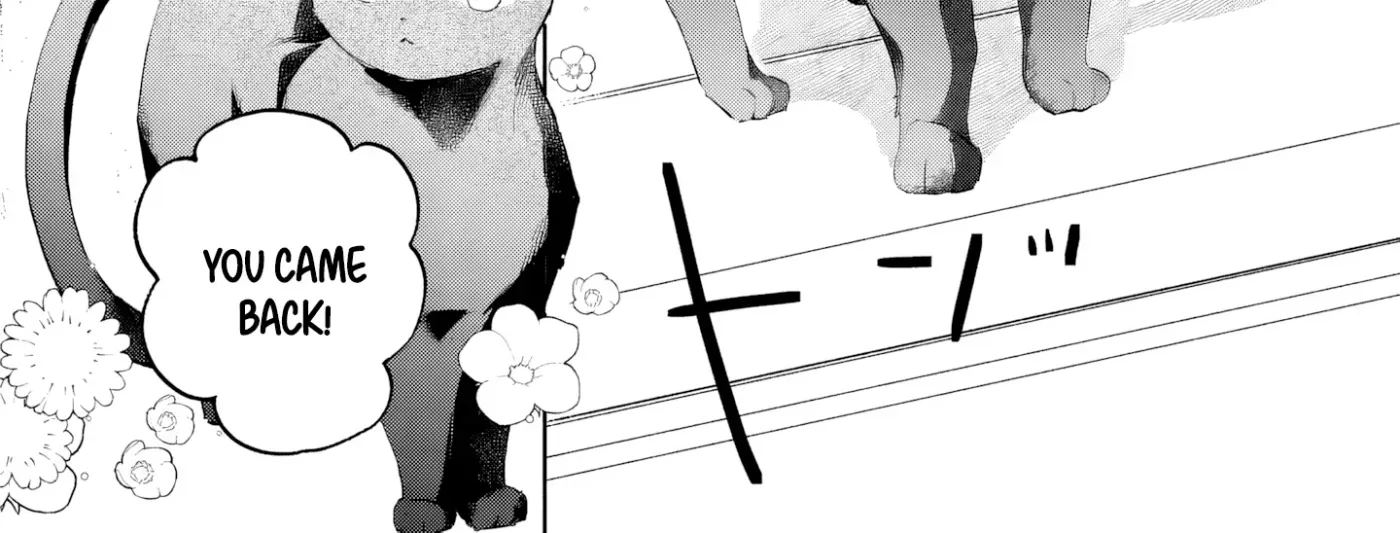 Kimi wo Aisuru Koto wa Dekinai to Iwareta node Neko wo Mederu Koto ni Shimashita Chapter 3 page 25 - 