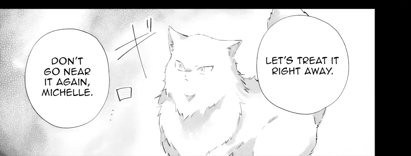 Kimi wo Aisuru Koto wa Dekinai to Iwareta node Neko wo Mederu Koto ni Shimashita Chapter 3 page 47 - 