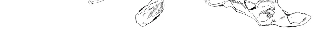 Kimiarite Kouhuku Chapter 3 page 2 - 