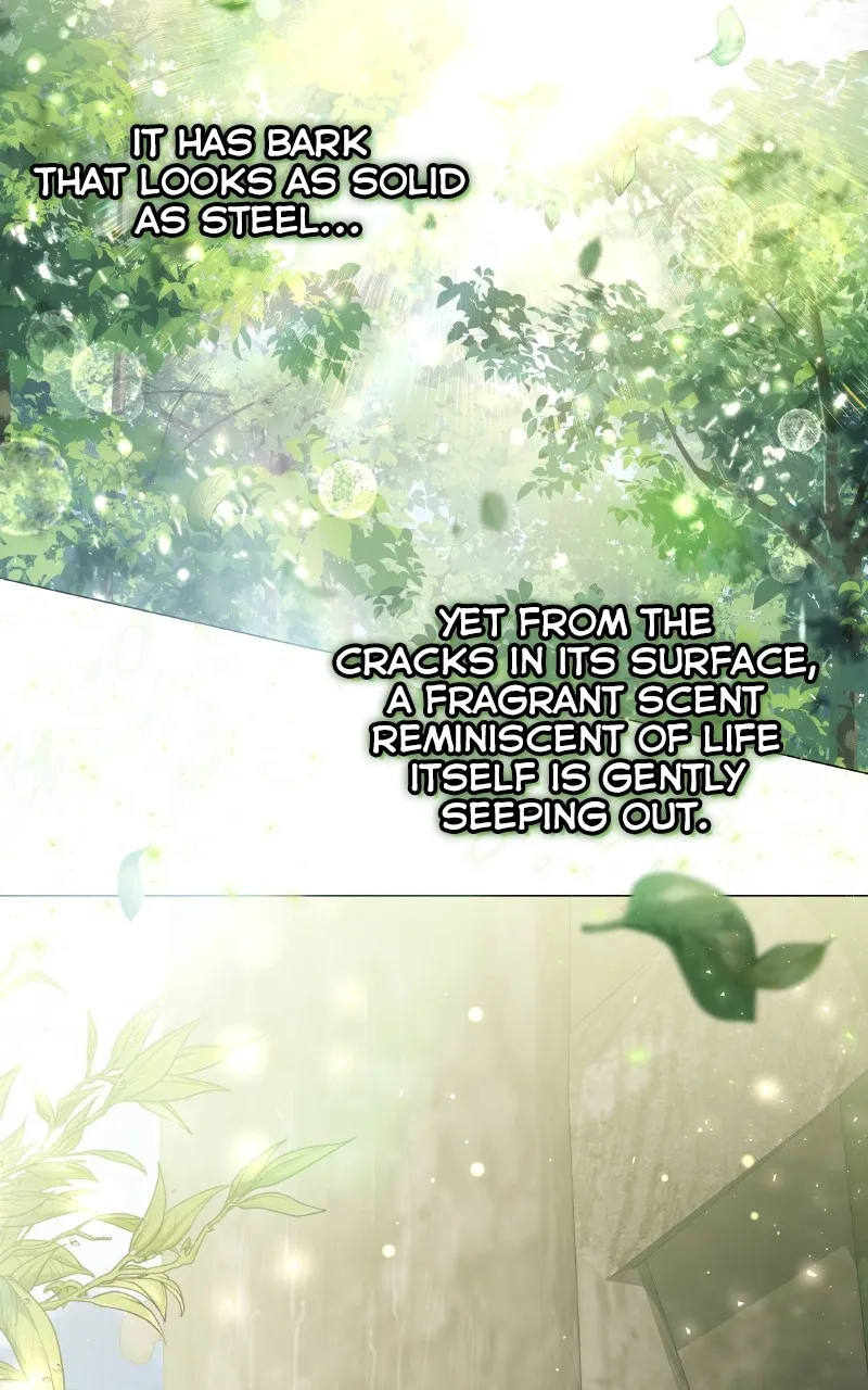 Kindergarten for Divine Beasts Chapter 8 page 11 - 