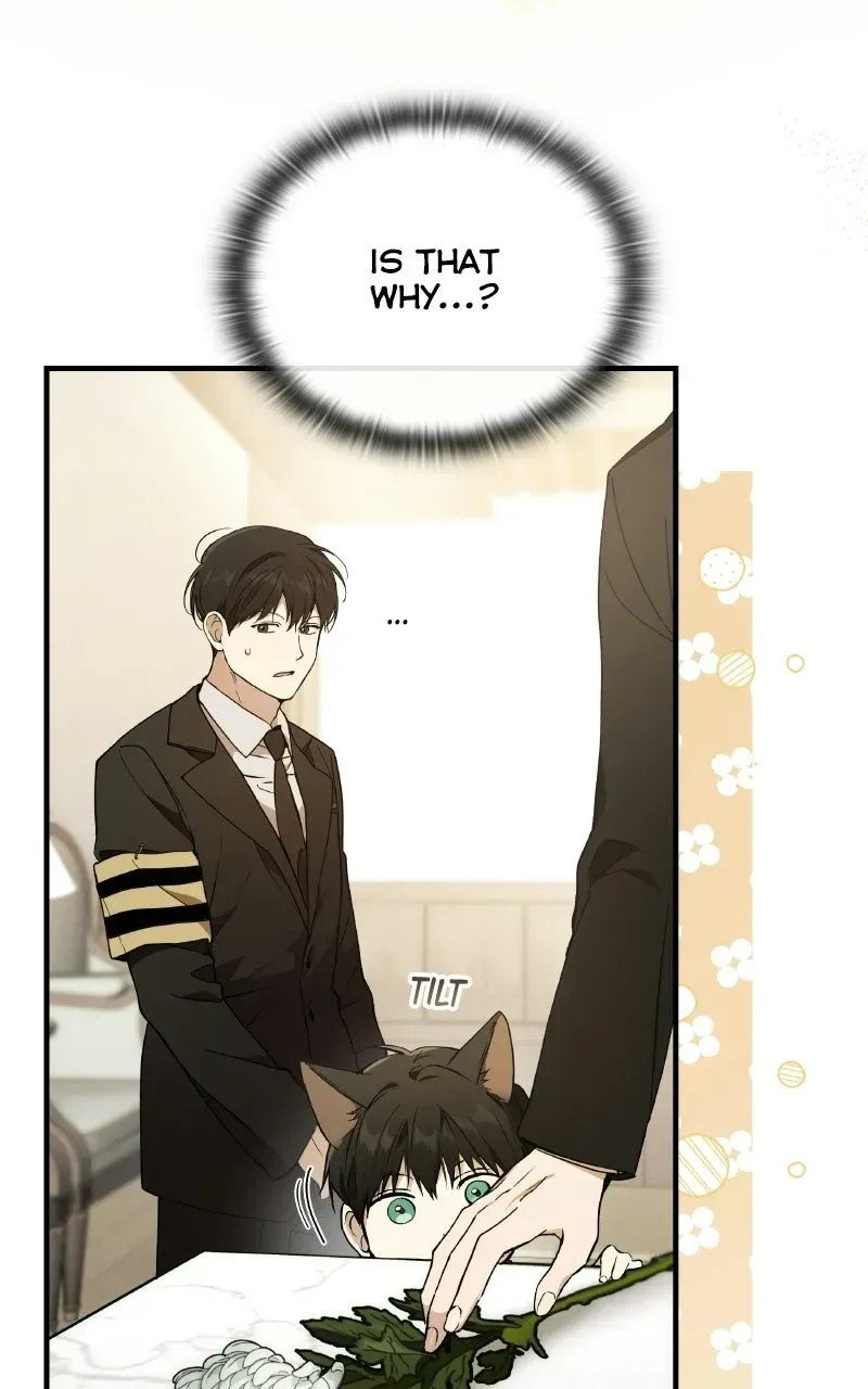 Kindergarten forDivine Beasts Chapter 1 page 72 - 