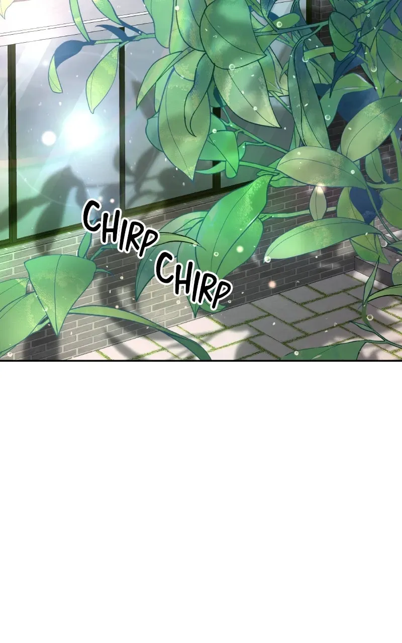 Kindergarten forDivine Beasts Chapter 13 page 117 - 