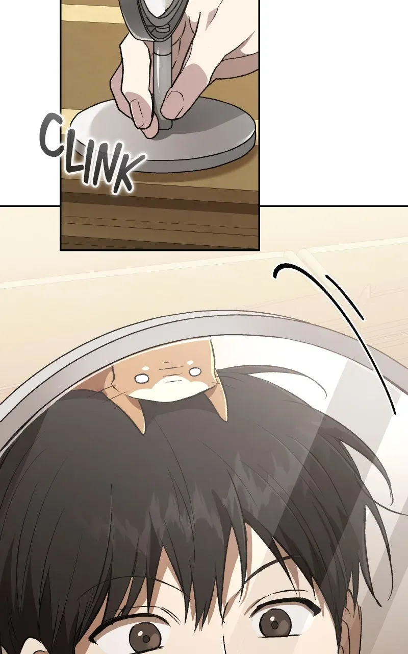 Kindergarten forDivine Beasts Chapter 43 page 45 - 