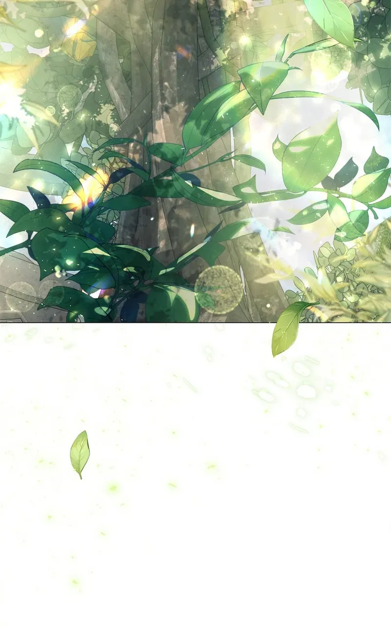 Kindergarten forDivine Beasts Chapter 8 page 12 - 