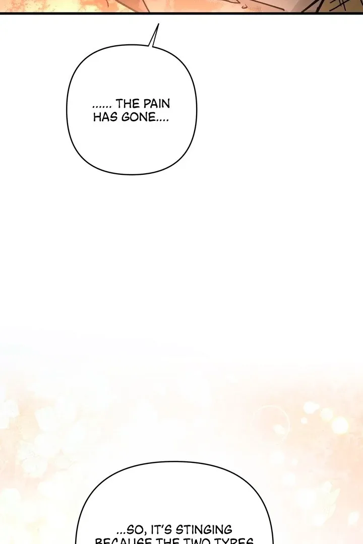 Kingdom of Innocence Chapter 11 page 107 - 
