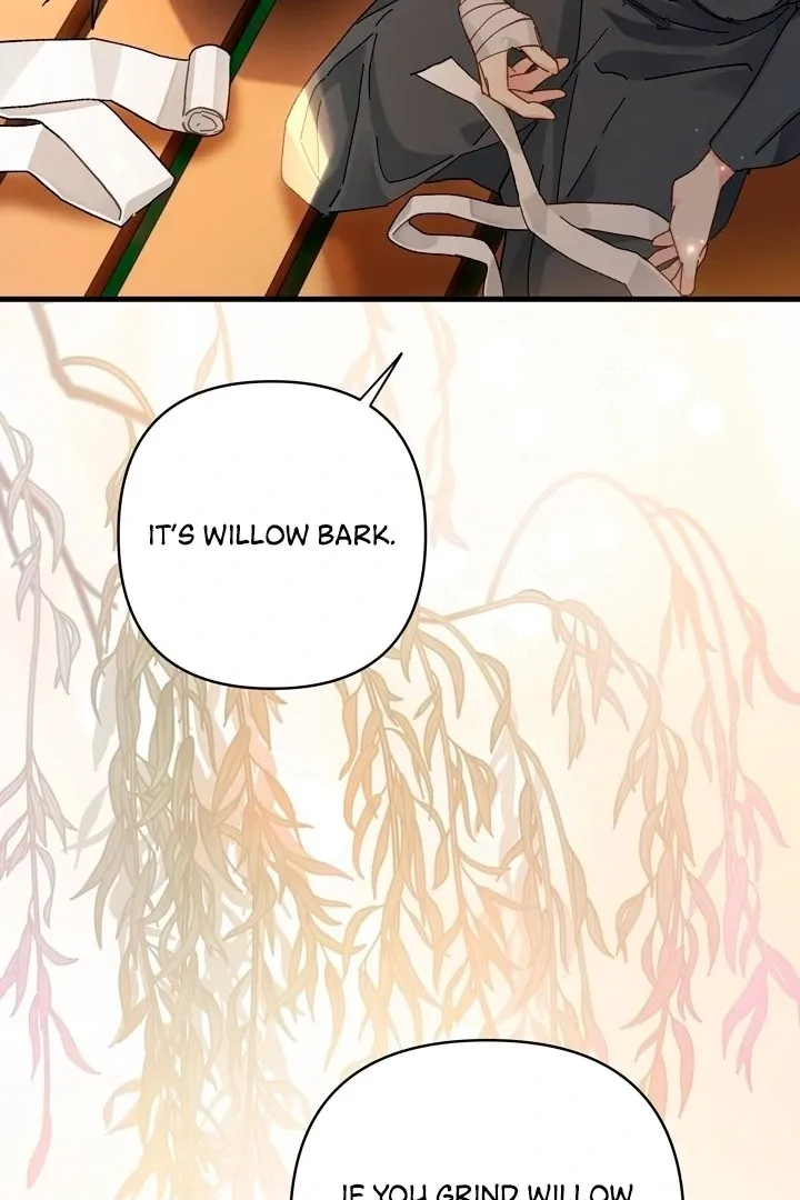 Kingdom of Innocence Chapter 11 page 79 - 