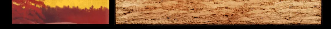 Kingdom Chapter 812 page 37 - 