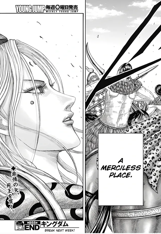 Kingdom Chapter 855 page 20 - 