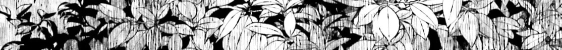 Kinki Chihou no Aru Basho ni Tsuite Chapter 5 page 4 - 