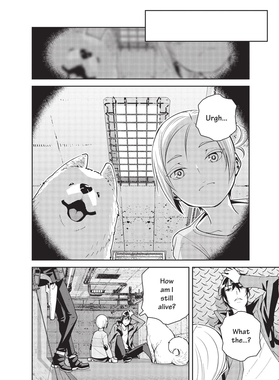 Kino