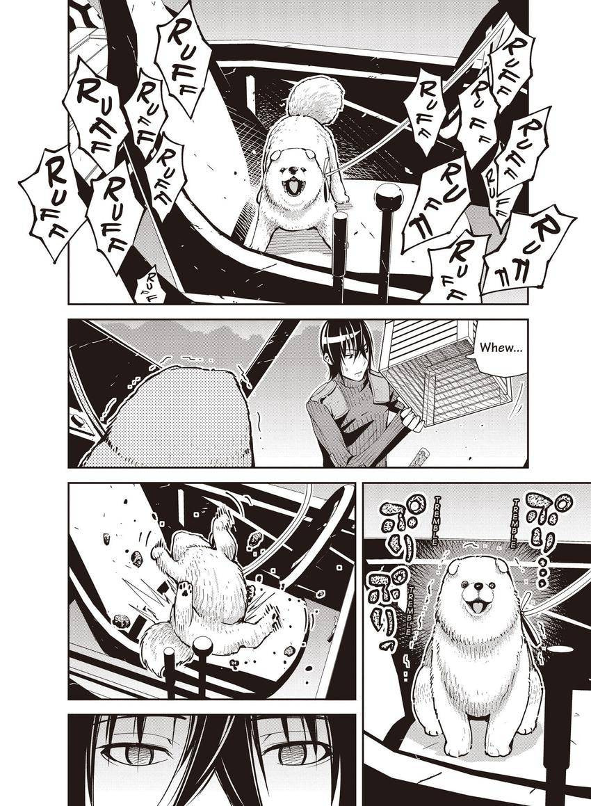 Kino