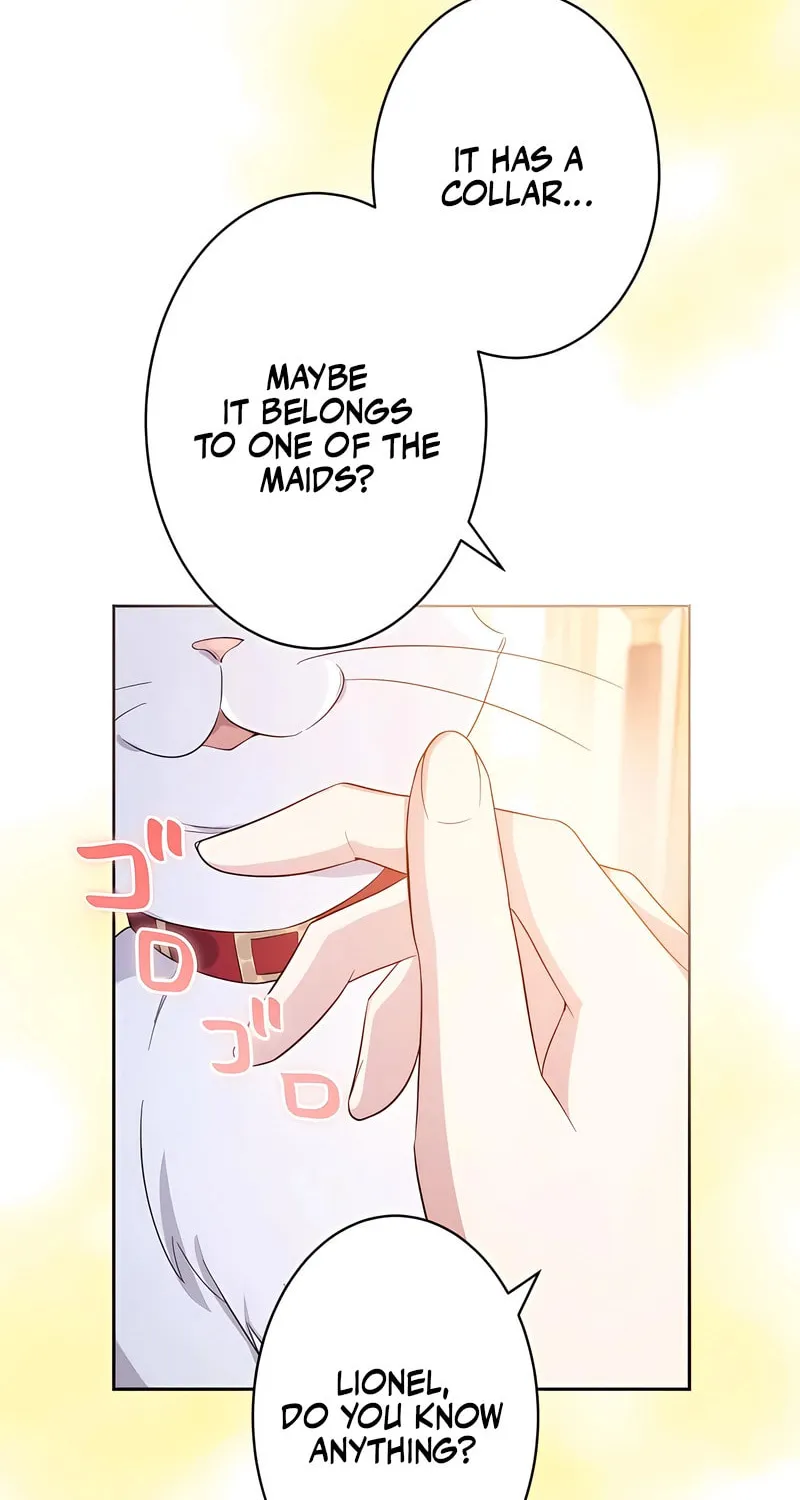 Kiraware Reijou na no ni, Daiichi Ouji to Keiyaku Kekkon desu ka!? Chapter 9 page 73 - 