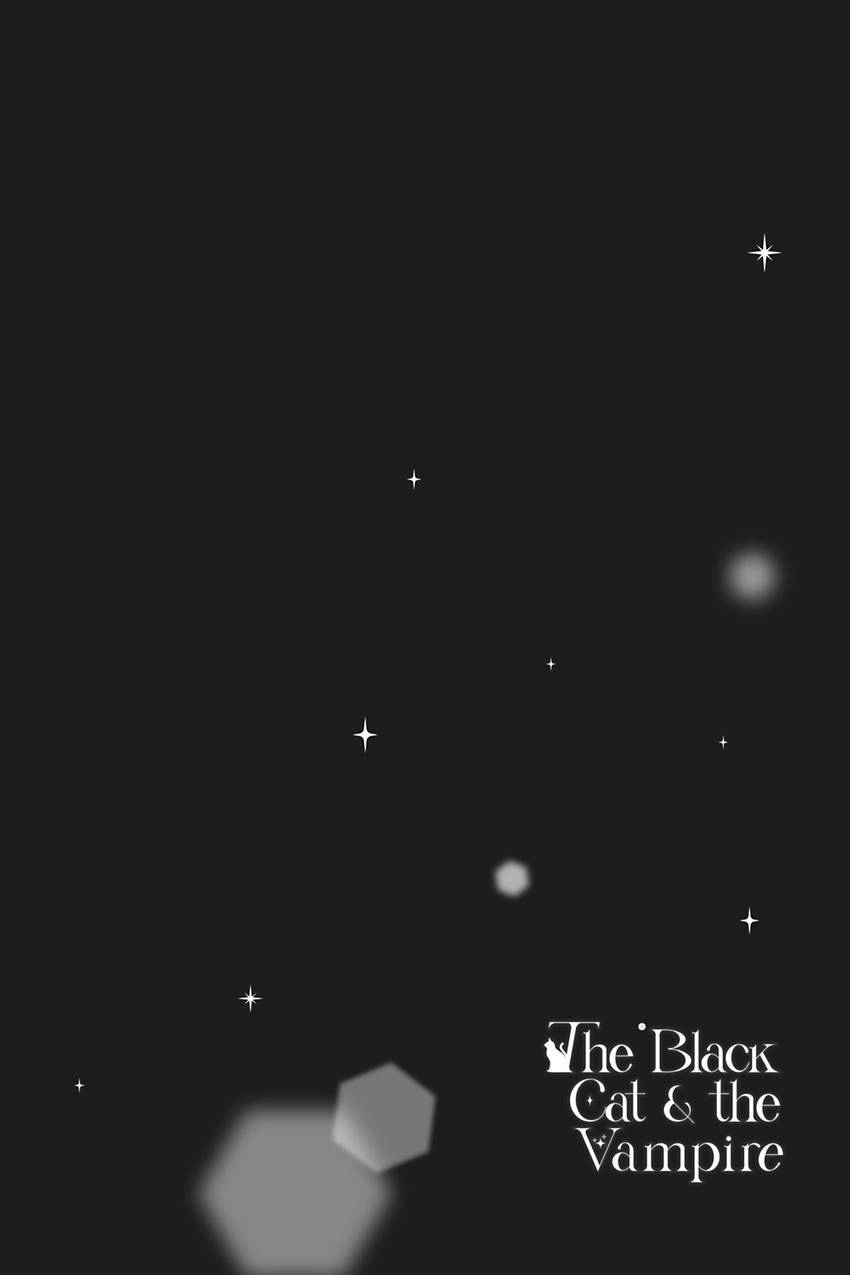 Kishukusha no Kuroneko wa Yoru wo Shiranai Chapter 14 page 2 - 